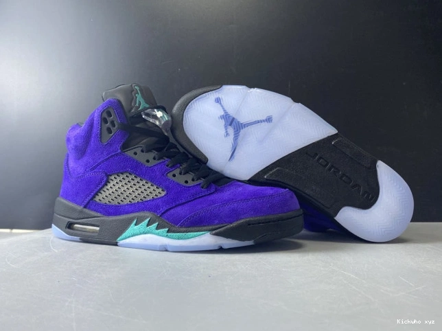 Jordan Grape 5 Alternate Air 136027-500 Retro 0610